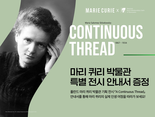 메인사진